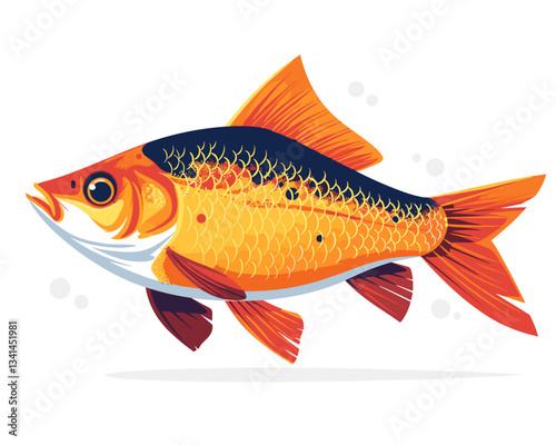 gold fish on white background