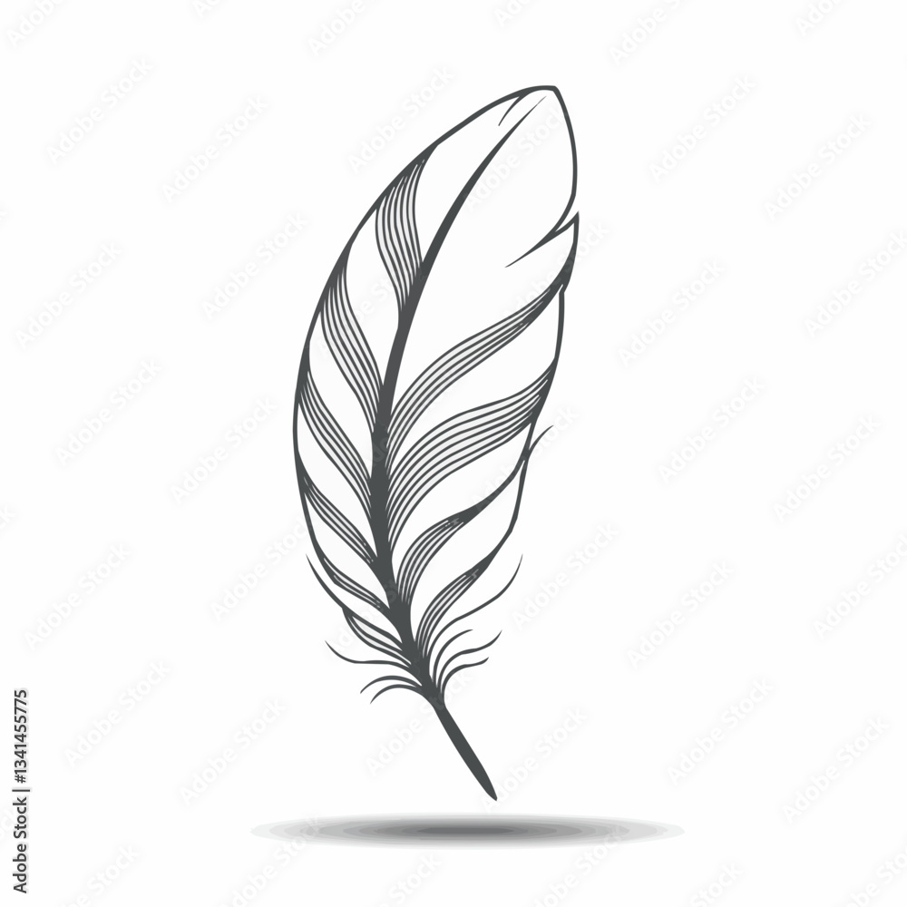 Obraz premium Elegant feather illustration on a white background, showcasing intricate details