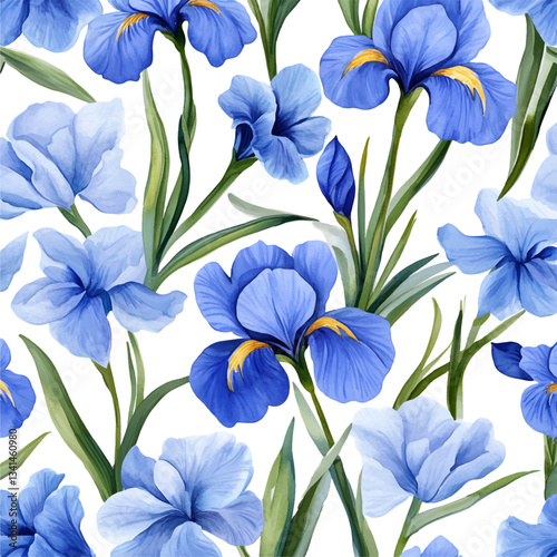 Fotografía Watercolor background with blue iris flowers on a transparent background