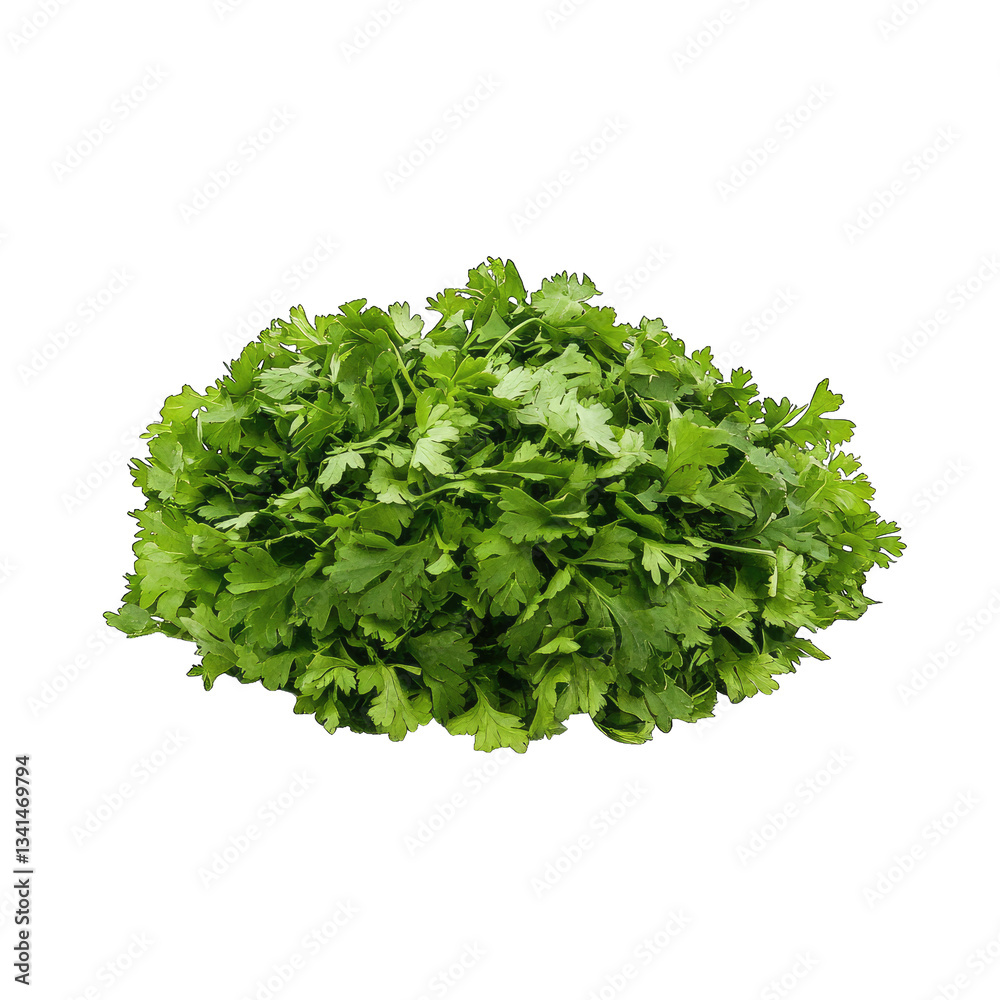 Obraz premium A small pile of fresh mint leaves with a crinkled surface and bright green color.