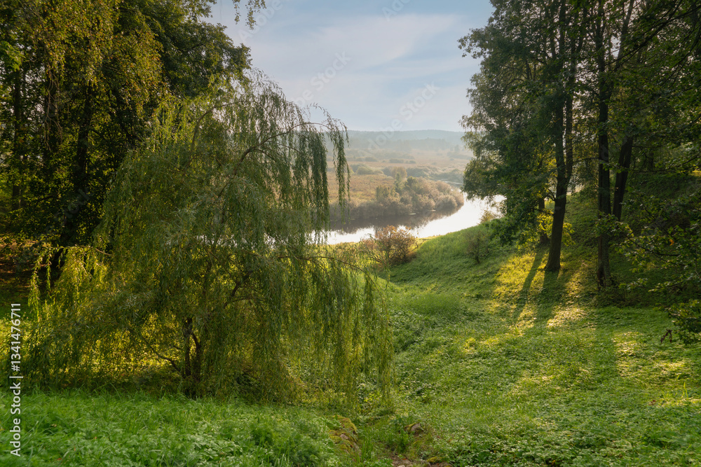 Fototapeta premium View of the Sorot River Valley at the foot of the Trigorskoye Estate of the Pushkin Museum-Reserve on a sunny summer day, Pushkinskiye Gory, Pskov Oblast, Russia