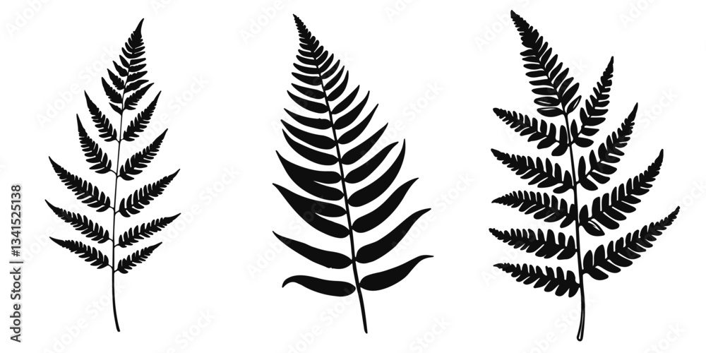 Fototapeta premium fern leaves set sketch illustration