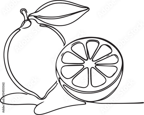 Minimalist Line Art of a Fresh Lemon photo
