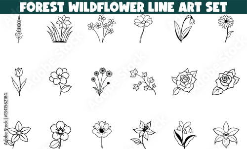 Forest Wildflower Line Art Set Botanical Illustrations, Floral Designs