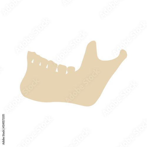 mandible colored icon