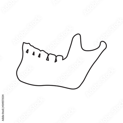mandible line icon