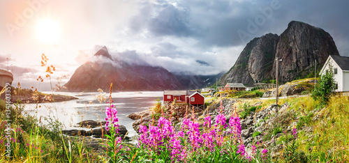 Fotospot Hamnøy auf den Lofoten Inseln in Norwegen