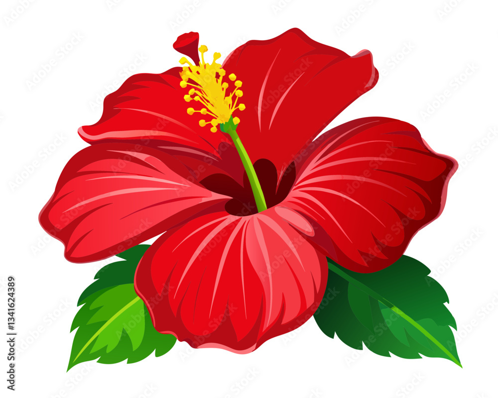 High-Resolution Macro Photo of a Vibrant Red Hibiscus Flower – Isolated Botanical Illustration. High-Resolution Macro Photo of a Vibrant Red Hibiscus Flower – Isolated Botanical Illustration.