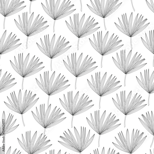 Black and white line art vector seamless pattern with palm leaves.