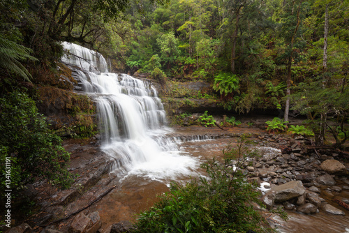 Wasserfall in Tasmanien, Liffey Falls in Australien nach einem starken Regen.