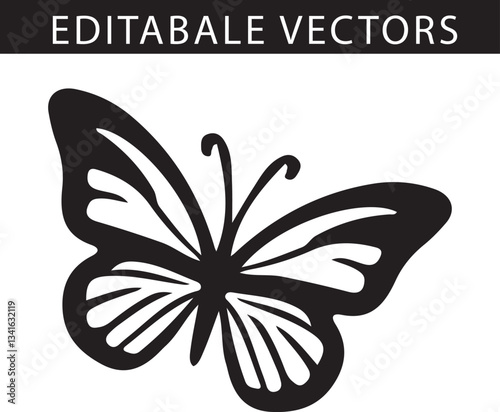 butterfly vector