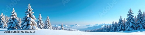 spruce trees against clear blue sky with snow, winter, landscape
