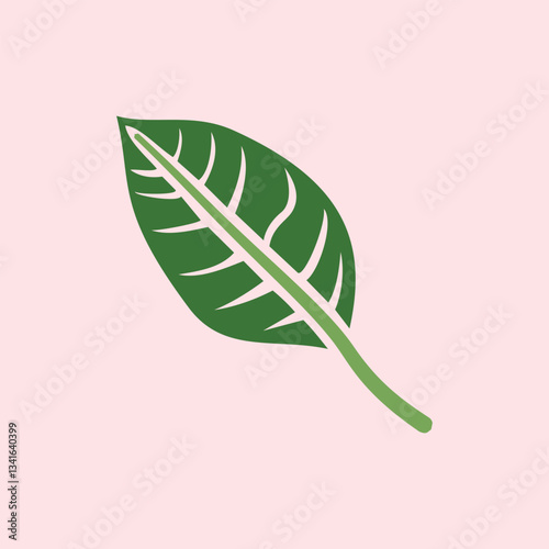 Leaf design over pink background, Green leaves isolated on pink background. Nature illustration for your design. Illustration design elements with a natural theme