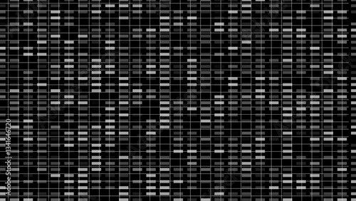 Abstract ripple lines loop motion background. Black and white stripes line motion graphics background