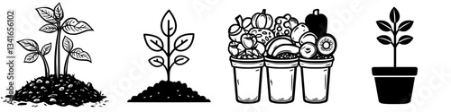 Growing plants in various stages of development and their importance in gardening and sustainability practices