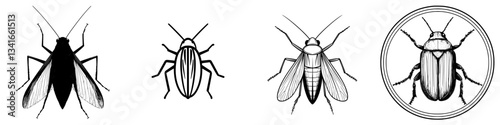 Vintage illustrations of four distinct cockroach species showcasing their unique physical features and patterns