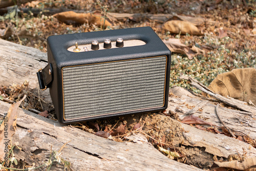 Portable wireless speaker for listening music, Vintage speakers