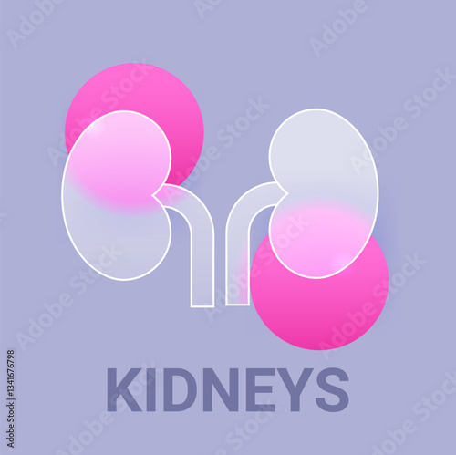 Human kidneys glass morphism icon. Urinary system vector symbol