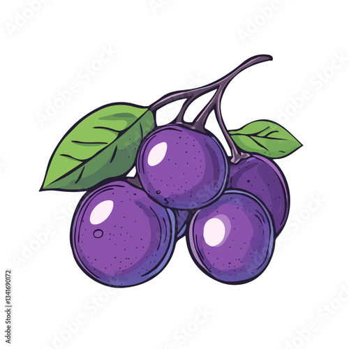 My hand-drawn colorful Maqui Berry. Trendy abstract minimal style. Natural fresh. Vector illustration isolated on white background, vector illustration