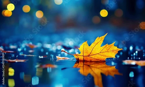 Autumnal Serenity: A Single Leaf's Reflection in a Rainy Night