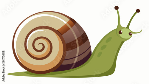 Snail on a White Background