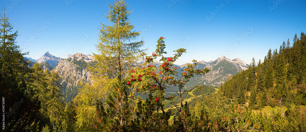 alpine autumn landscape tyrol, view to Karwendel alps, larch and rowan tree