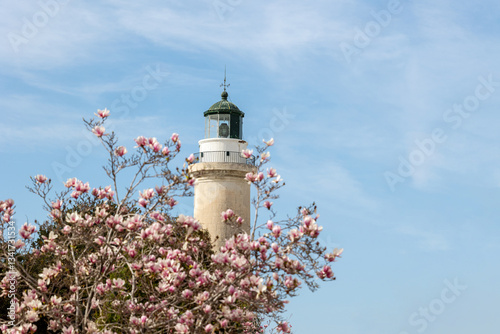 Fototapeta Naklejka Na Ścianę i Meble -  Spring period in the streets of Alexandroupolis Evros Greece, pink magnolia flowers near the Lighthouse, Greek English translation sign from the municipality, seaport and blue sky
