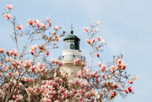 Fototapeta Naklejka Na Ścianę i Meble -  Spring period in the streets of Alexandroupolis Evros Greece, pink magnolia flowers near the Lighthouse, Greek English translation sign from the municipality, seaport and blue sky