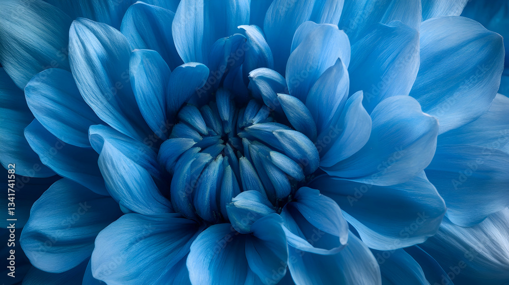 Fototapeta premium A mesmerizing deep blue flower with intricate overlapping petals, showcasing a rich and dramatic texture.