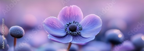 Beautiful Purple Flower With Delicate Petals in a Blooming Garden During Spri...
