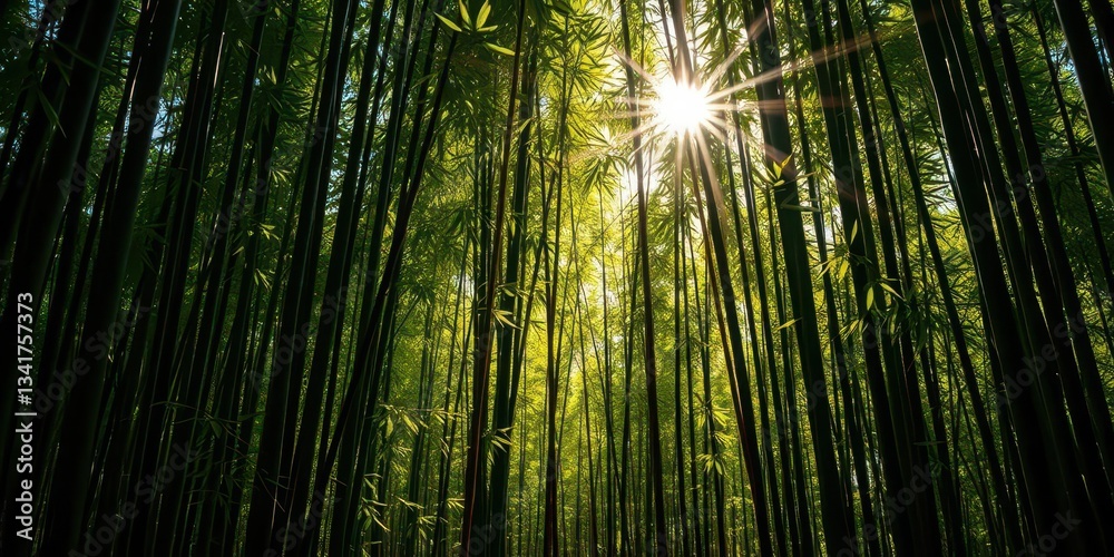 Fototapeta premium Sunlight dappled through dense bamboo stalks, creating shadows on the forest floor, tropical, jungle