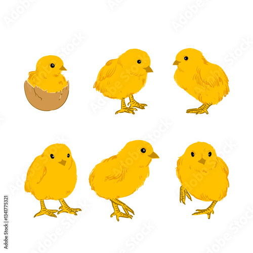 Hand drawn sketch little chickens set vector illustration. cute baby chicks drawing collection engraved retro style.