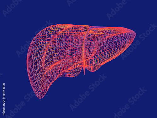 3d Wireframe liver structure in orange over blue background. This evokes themes of health, vitality, and body's essential functions. The intricate network of lines suggests the complexity liver organ