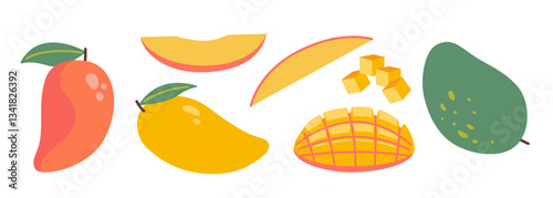 Set with variety mango forms, whole, sliced, and cubed tropical fruit. Modern vector illustration isolated on white background, hand drawn, flat design