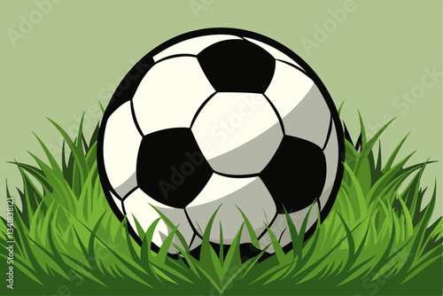Soccer ball on the green grass in a field