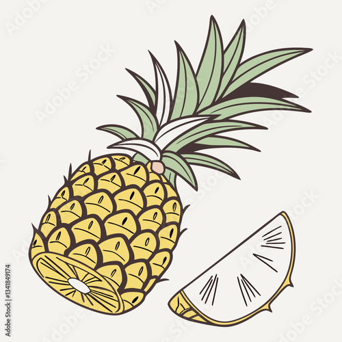 vector illustration of pineapple