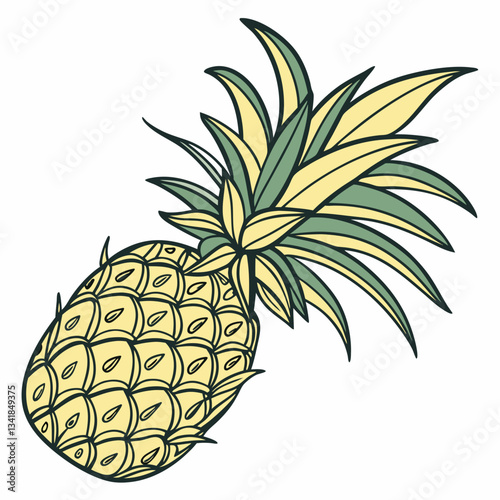 vector illustration of pineapple