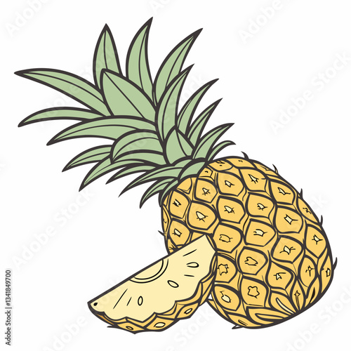 vector illustration of pineapple