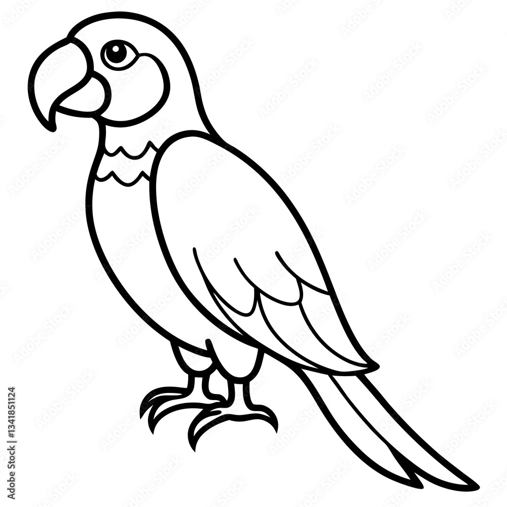 Elegant Macaw Outline Illustration Elegant Macaw Outline Illustration