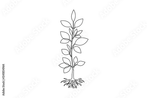 Growth plant online drawing of a plant outline vector art black white background
