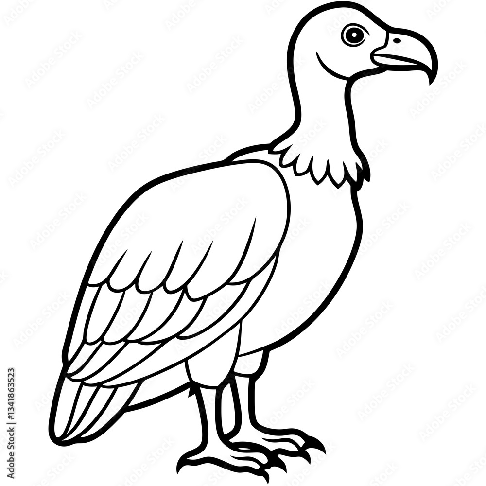 Obraz premium Elegant Vulture Outline Illustration