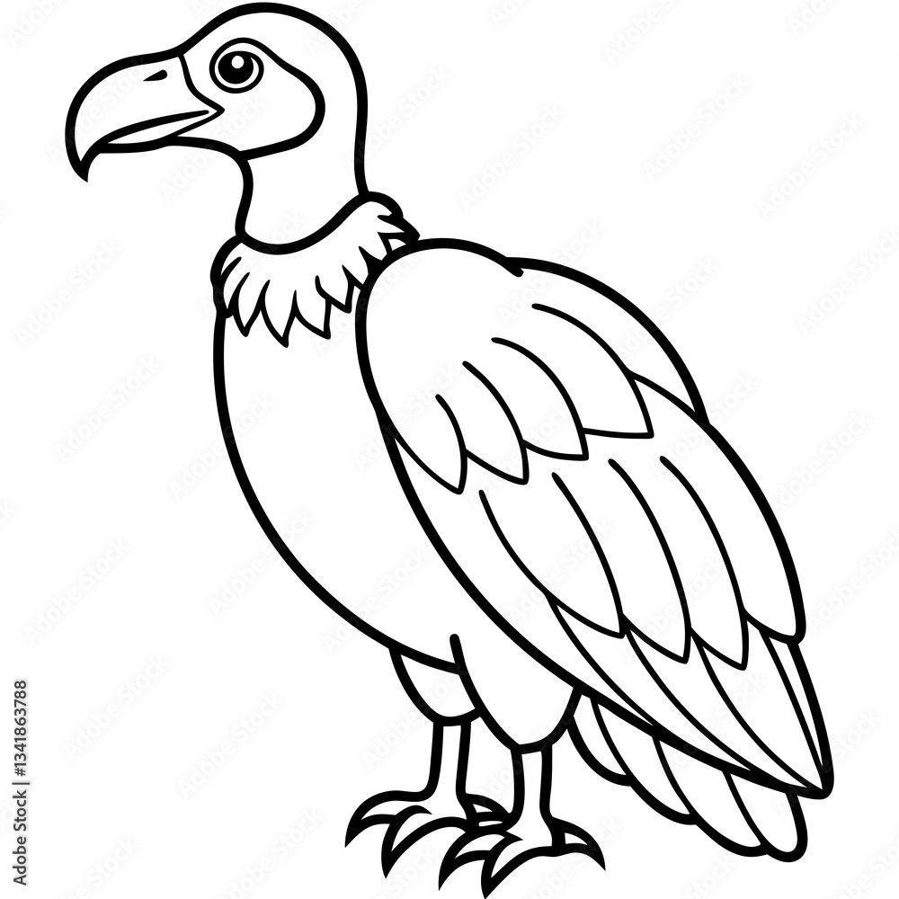 Fototapeta premium Elegant Vulture Outline Illustration