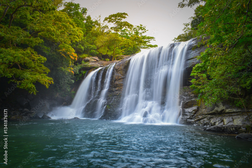 Fototapeta premium waterfall in the forest