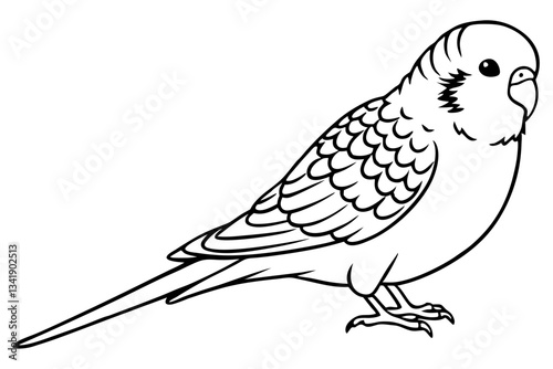 budgerigar budgie line art silhouette vector illustration