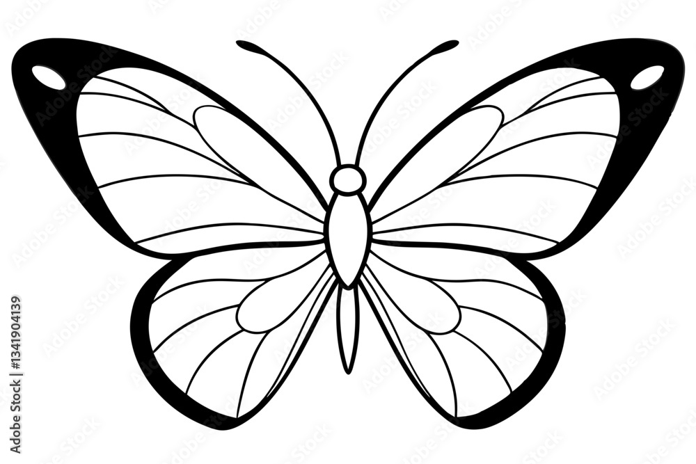 Fototapeta premium butterfly line art silhouette vector illustration