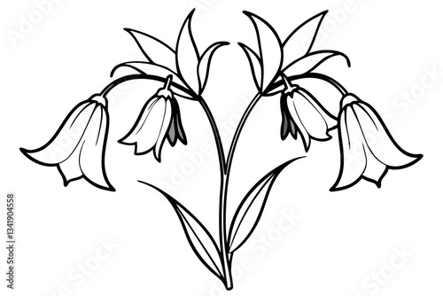canterbury bells flower line art silhouette vector illustration