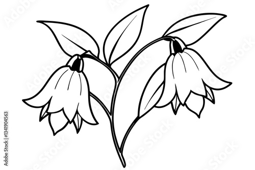 canterbury bells flower line art silhouette vector illustration