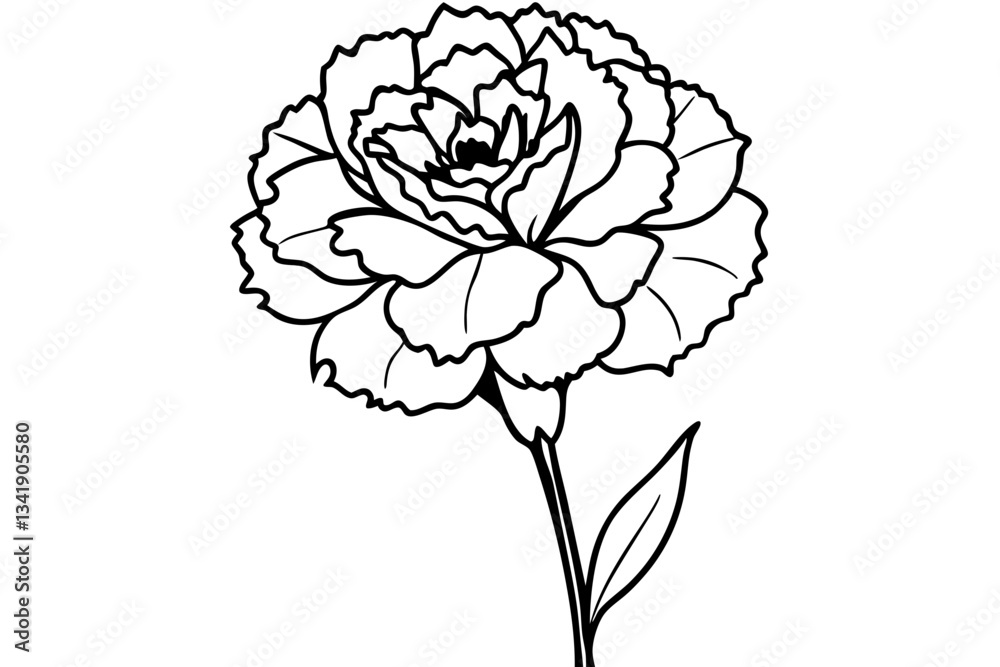 Obraz premium carnation flower line art silhouette vector illustration