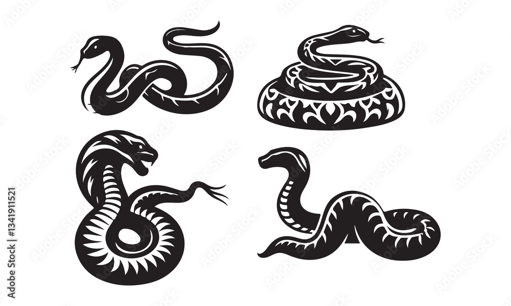 vector illustration of a snake vector illustration of a snake