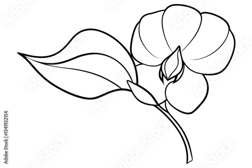 sweet pea flower line art silhouette vector illustration